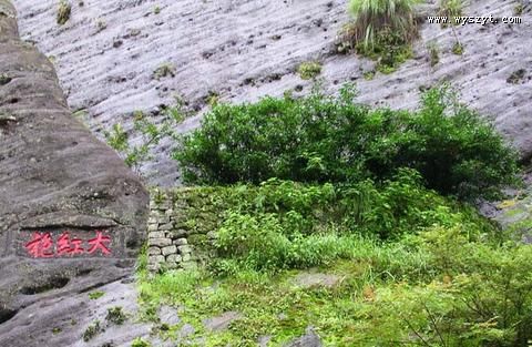 武夷岩茶知识大全