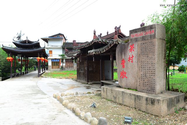曹墩:醉在古村茶香中