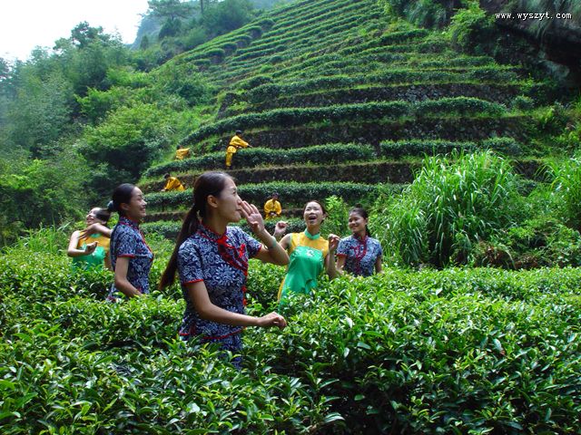 值得敬畏的草木灵芽--武夷山茶神崇拜 值得敬畏的草木灵芽--武夷山茶神崇拜